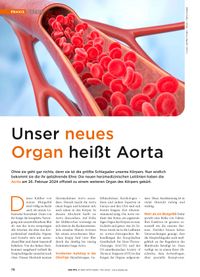 PTA_Aorta_Organ